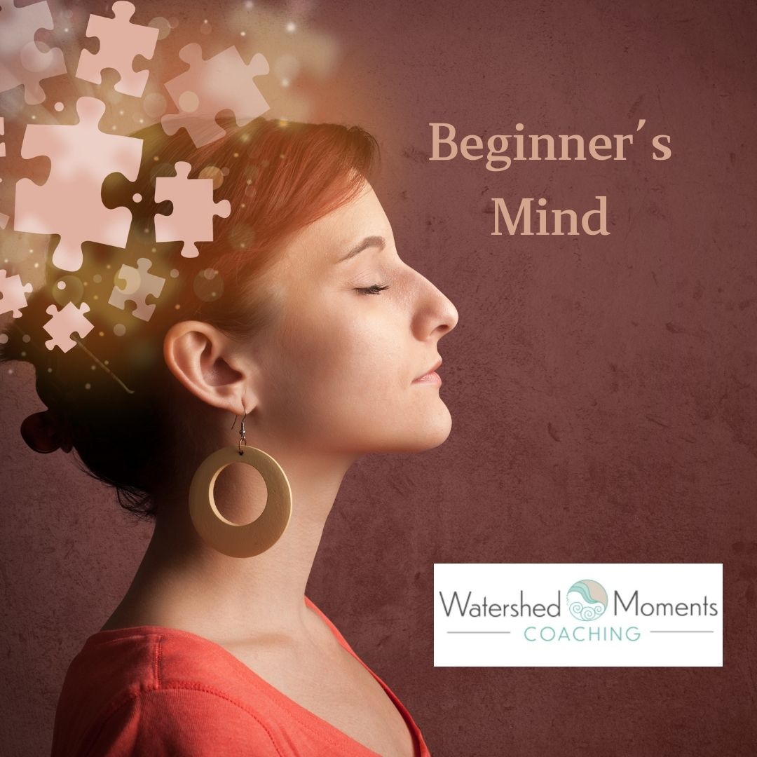 Read more about the article Beginner’s Mind 