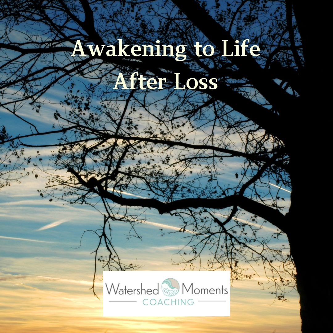 Read more about the article Awakening to Life After Loss