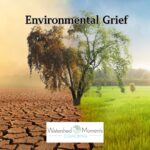 Healing Our World From Environmental Grief