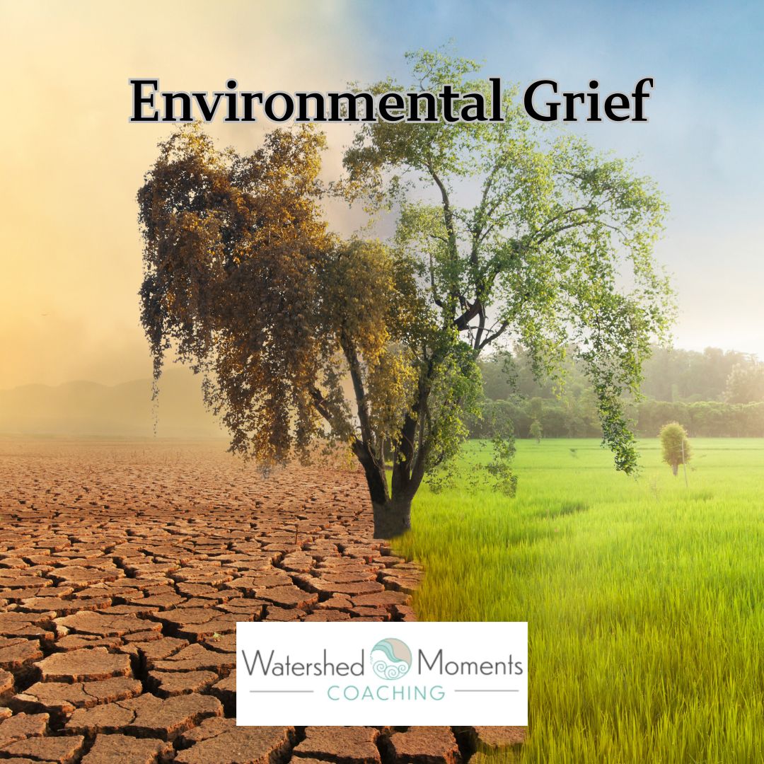Read more about the article Healing Our World From Environmental Grief